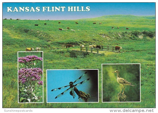 Kansas Flint Hills Wickhita Kansas - Wichita