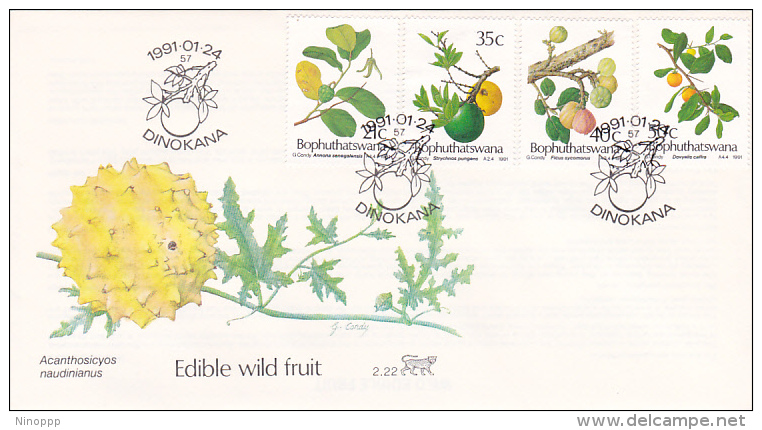 Bophuthatswana 1991 Edible Wild Fruit FDC - Bophuthatswana