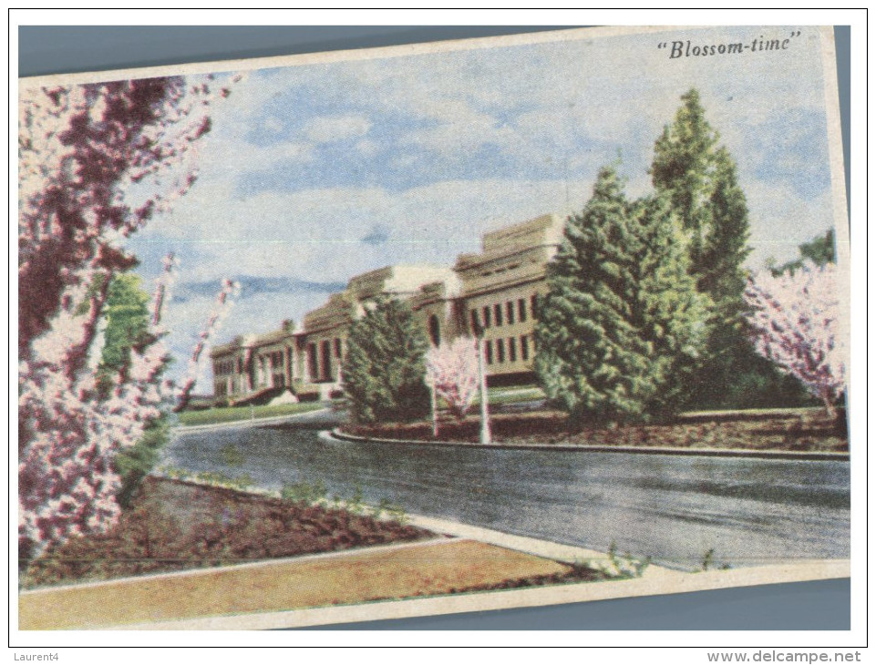 (PH 416) Australia - ACT - Canberra And Parliament At Blossom Springtime (older Postcard) - Canberra (ACT)