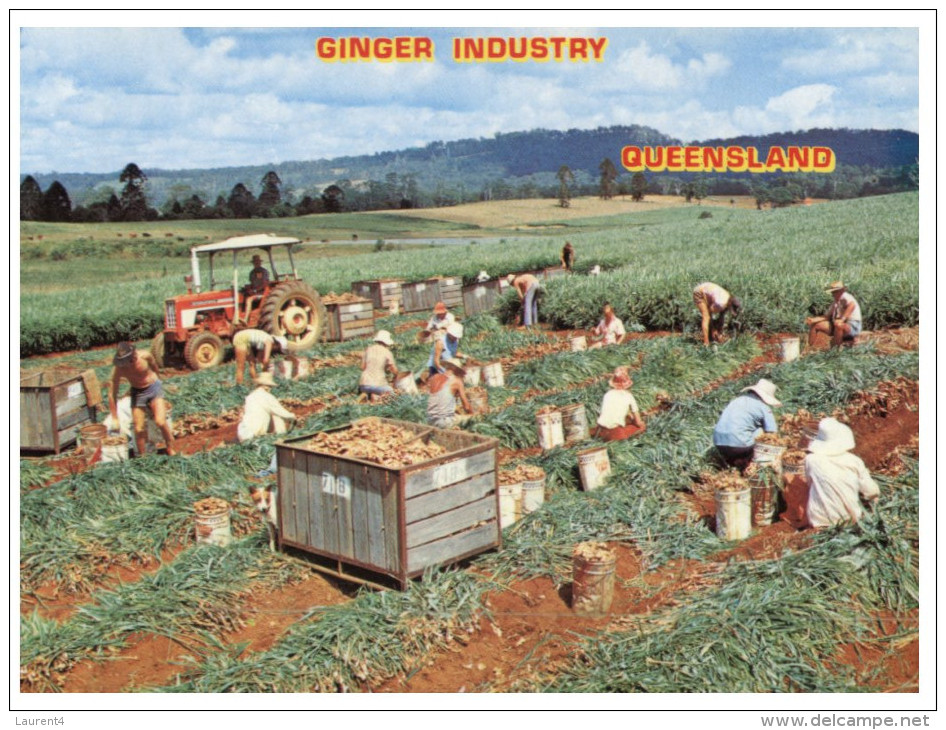 (PH 416) Australia - QLD - Ginger Harvesting - Tractor - Sunshine Coast