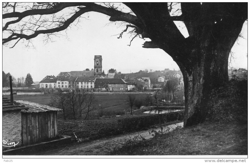 ETIVAL PANORAMA DU GROS CHENE - Etival Clairefontaine