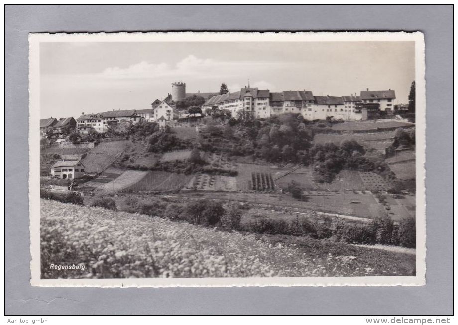 ZH Regensberg Foto J. Schmidli Ungebraucht - Regensberg