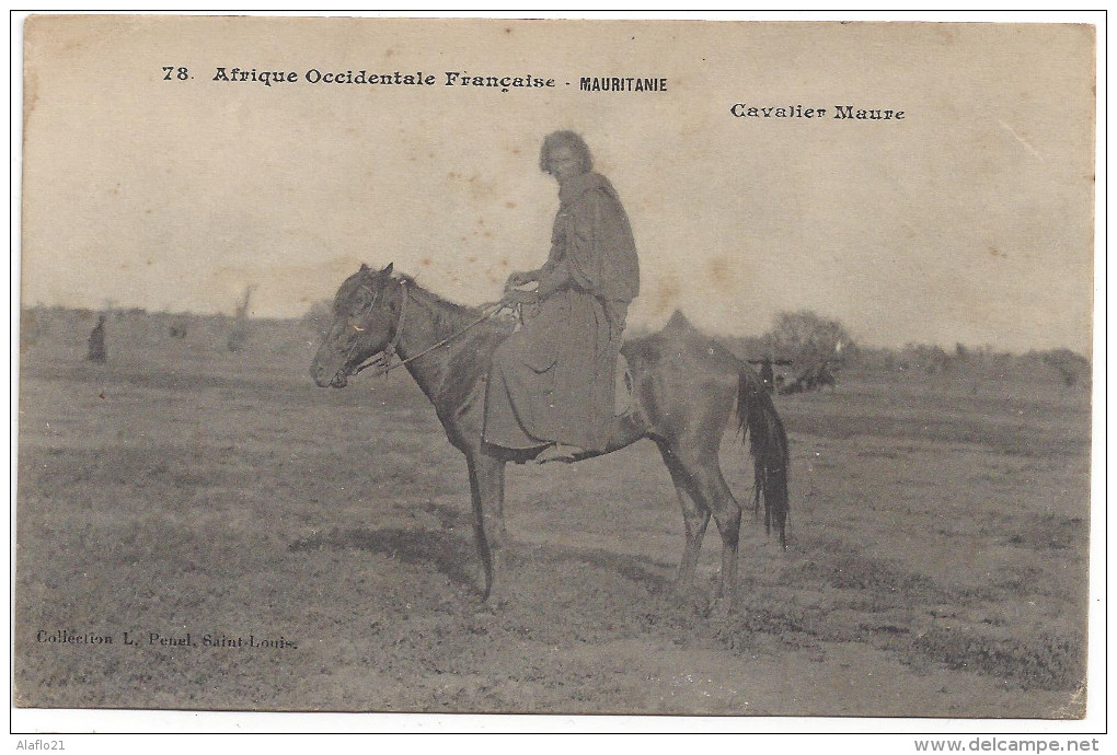 CPA   MAURITANIE - Cavalier Maure - Mauritania