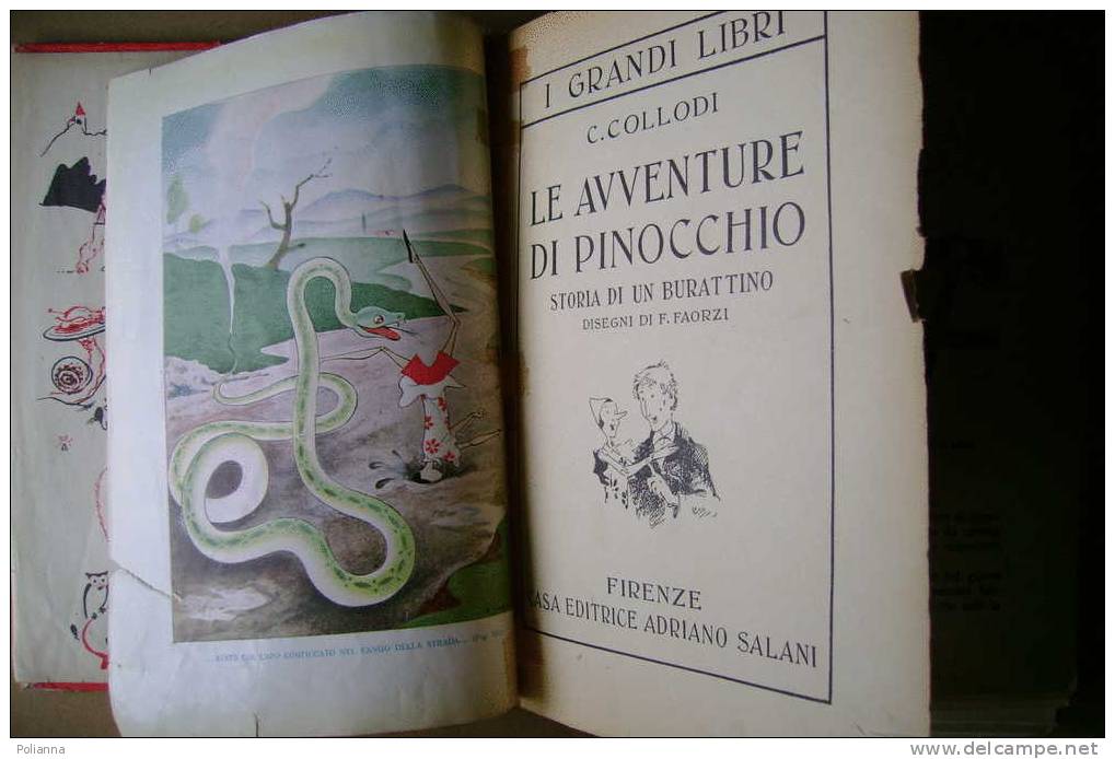 PCE/13 Collodi PINOCCHIO I Grandi Libri Salani 1951 Ill.Faorzi - Anciens