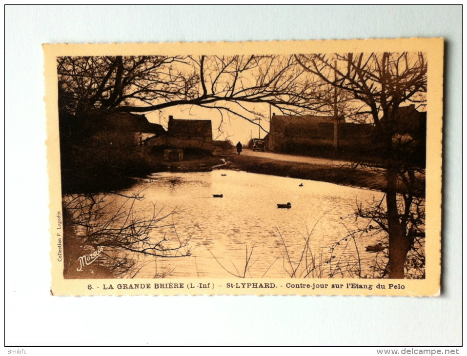 La Grande Brière - St Lyphard - Contre-jour Sur L'étang Du Pelo - Saint-Lyphard