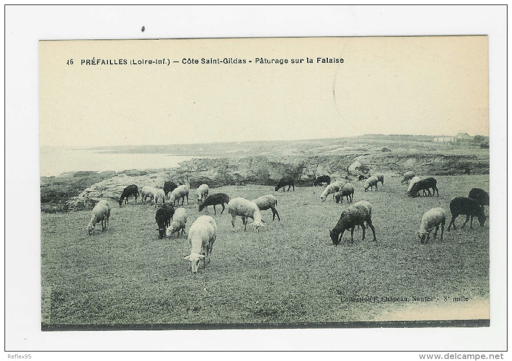 PREFAILLES - Côte Saint Gildas - Pâturage Sur La Falaise - Préfailles