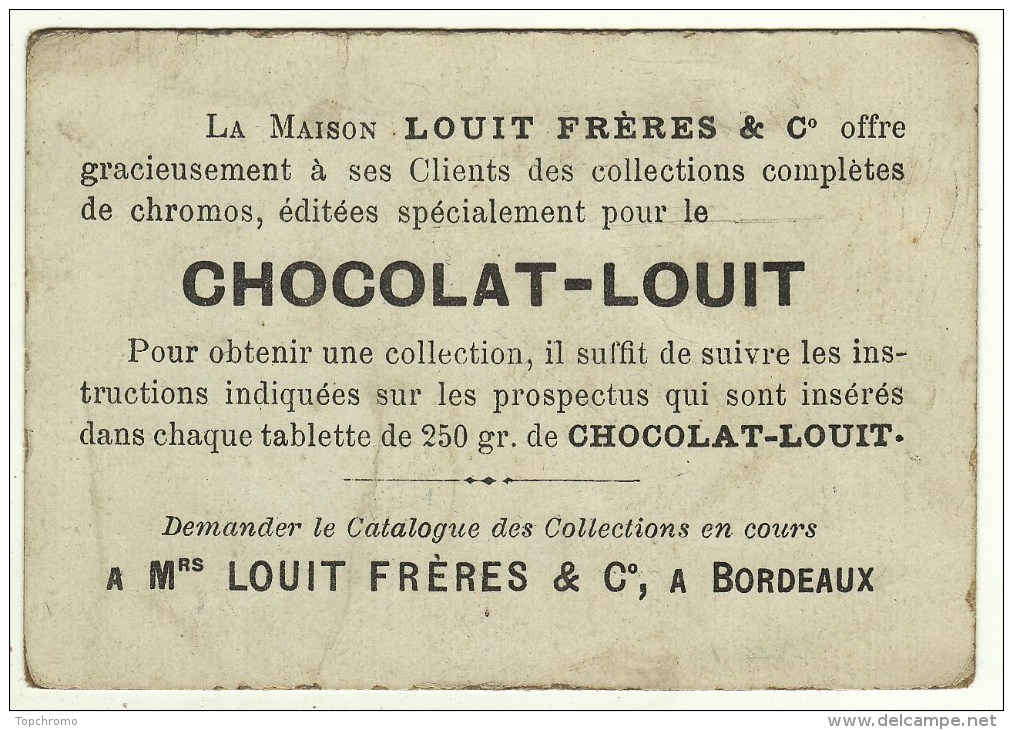 Chromo Chocolat Louit Fleurs Chèvrefeuille Oiseaux - Louit