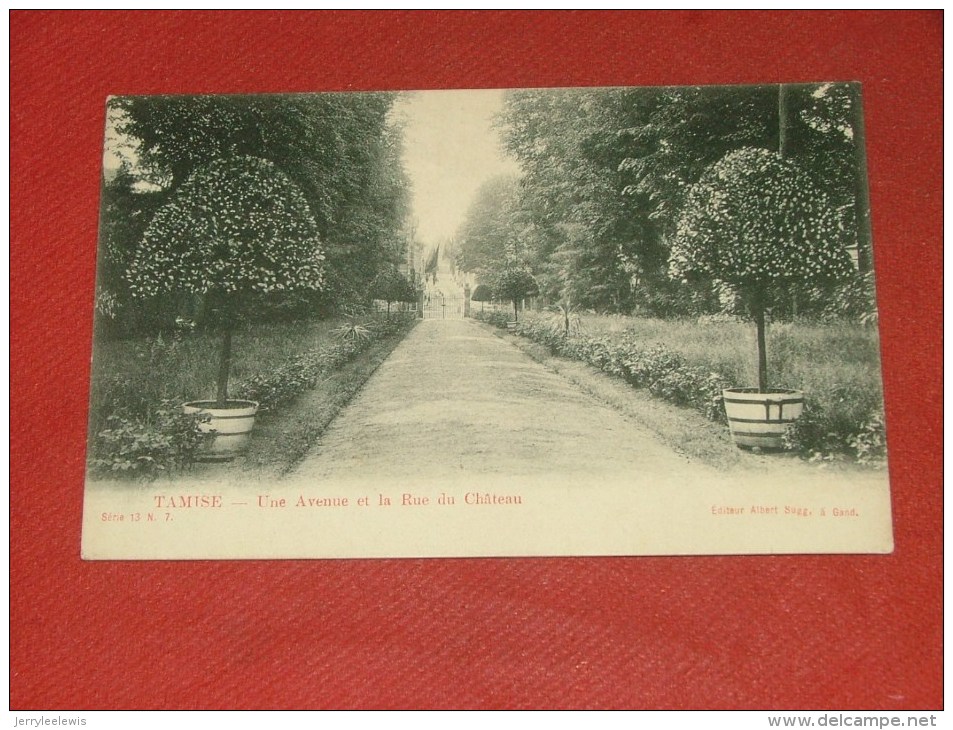 TEMSE  -  TAMISE  -  Une Avenue Et La Rue Du Château        -  1905  -  (2 Scans) - Temse