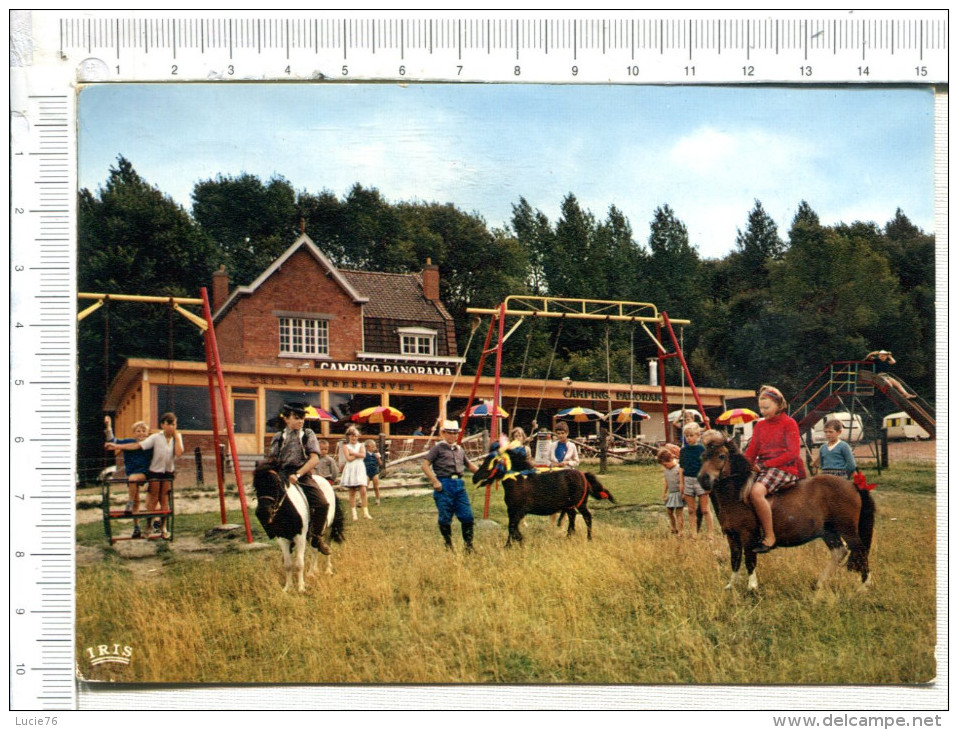 KLUISBERG  -  RUIEN   - Mt De  L Enclus -  Camping  "  PANORAMA "  - Plaine De Jeux - Poney Club - Kluisbergen