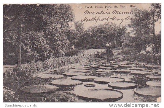 Lilly Pond Como Park Saint Paul Minnesota 1907 - St Paul