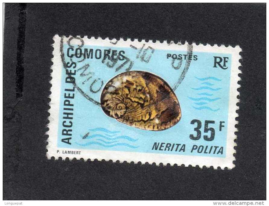 COMORES (Archipelle) : Coquillages : Nerita Polita (Escargot Marin)  - Mollusque Gastéropode - - Used Stamps