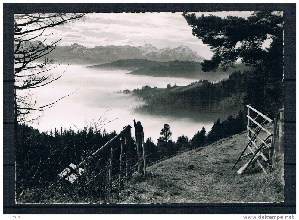 (272) AK Schweiz - St. Anton - Blick Zum Alpsteig - St. Anton