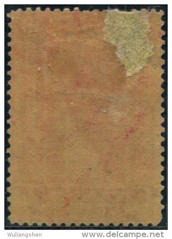 DK0237 United States 1897 Newsprint Stamps 1v MH - Periódicos & Gacetas