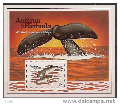 ANTIGUA AND BARBUDA 1983 Whales - Baleines