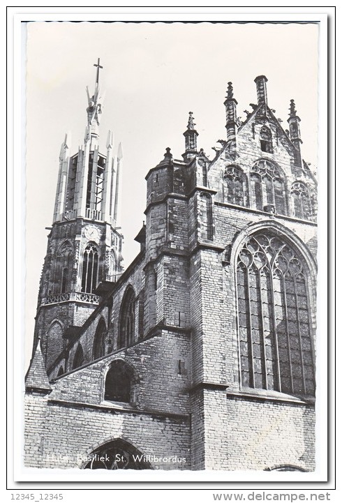 Hulst, Basiliek St. Willibrordus - Hulst