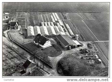 AARSCHOT-PRIVE-KAART-TUINBOUWBEDRIJF-OP DE BEECK ARMAND-TIELTSEBAAN 63-LUCHTFOTO-ISSELEE-CEROUX-MOUSTY-ZIE 2 SCANS-MOOI - Aarschot