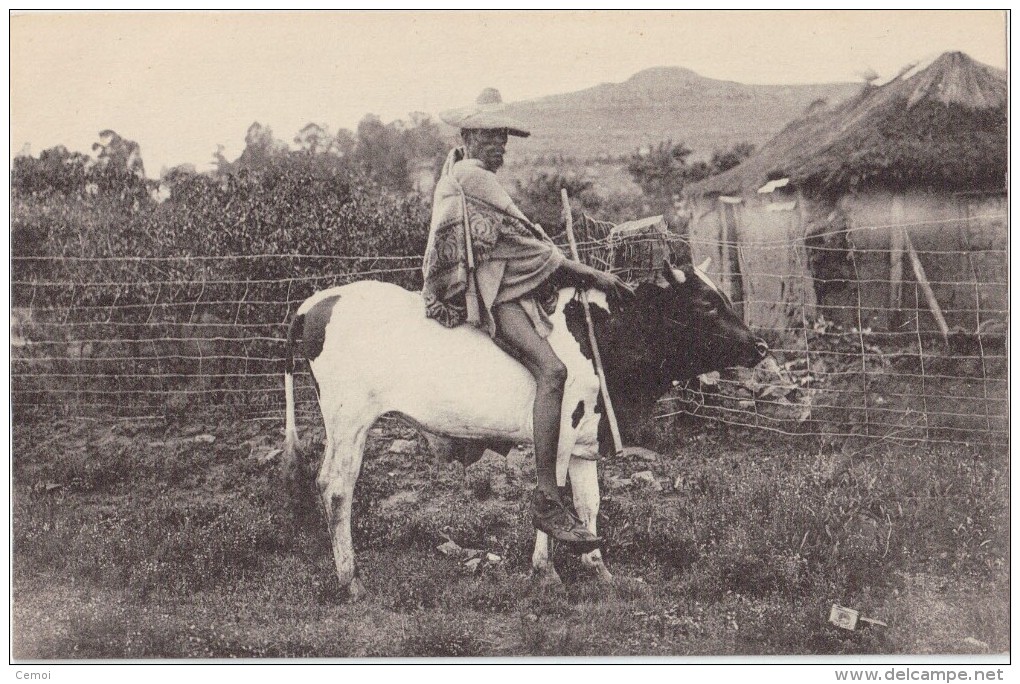 CPA Animée - LESSOUTO - Mossouto En Voyage - Lesotho