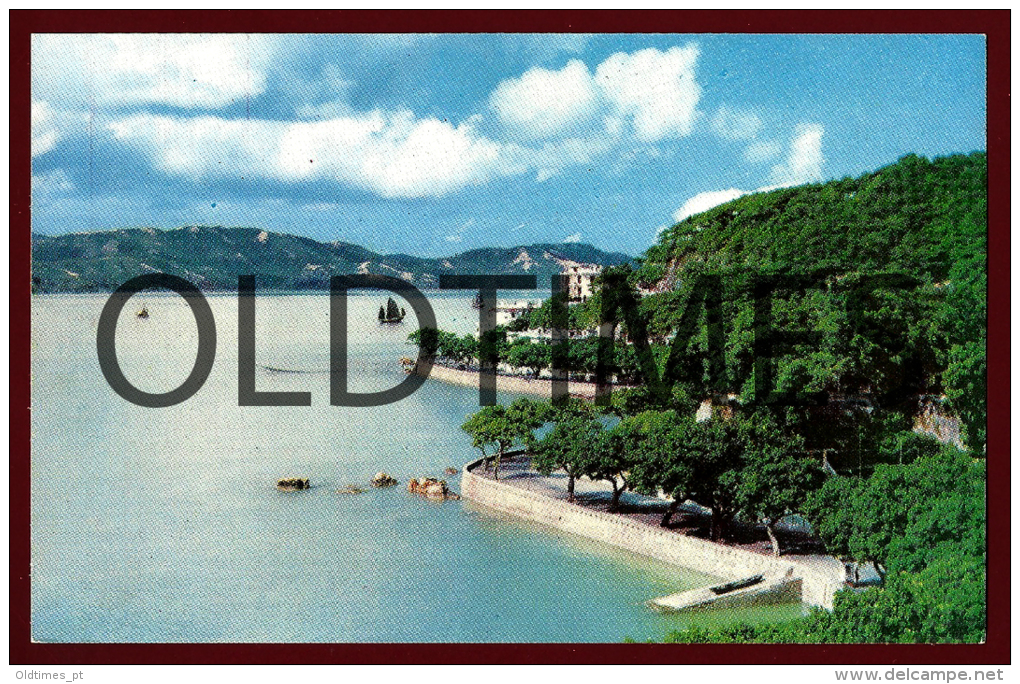 CHINA - MACAU - AVENIDA REPUBLICA - SAI WAN - ENTRANCE TO PORT INTERIOR - 1960 PC - Chine