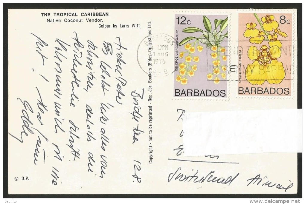 BARBADOS Nativa Coconut Vendor 1976 - Barbados