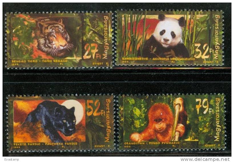 HUNGARY - 1999. Animals Of Asia(Tiger, Panther,Monkey,Panda)MNH!! Mi:4544-4547 - Nuevos