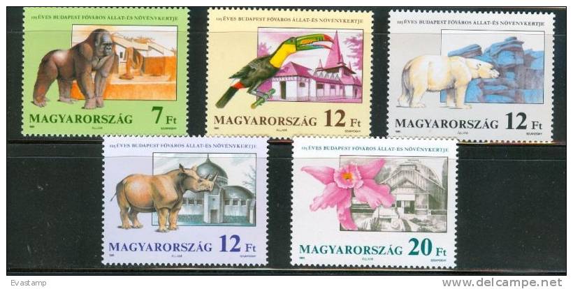 HUNGARY - 1991. Budapest Zoo,125th Anniv. / Gorilla,Polar Bear MNH! Mi 4136-4140 - Unused Stamps