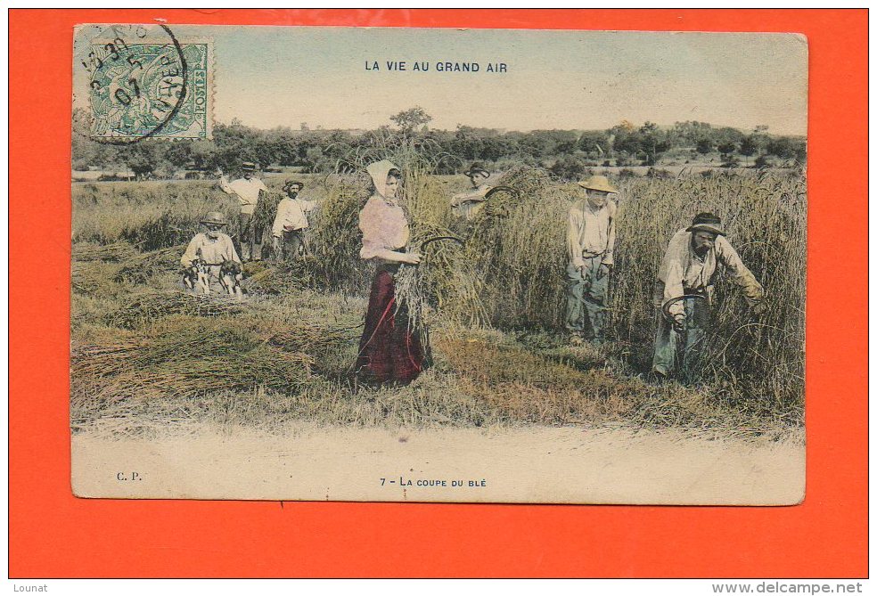 La Vie Au Grand Air - La Coupe Du Blé (couleur) - Landwirtschaftl. Anbau