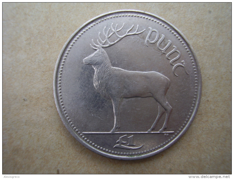 IRELAND 1990 PUNT (POUND) Copper-nickel COIN USED In GOOD CONDITION. - Irland