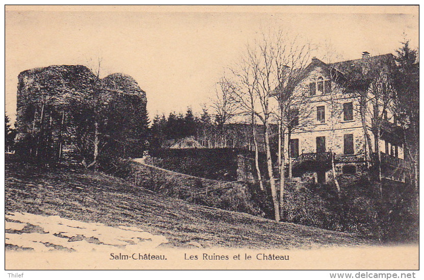 Salm-Château 16: Les Ruines Et Le Château - Vielsalm