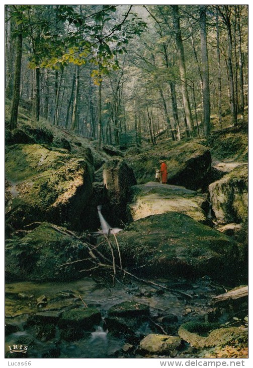 1960 CIRCA PETITE SUISSE LUXEMBOURGEOISE - HALLERBACH - Autres & Non Classés