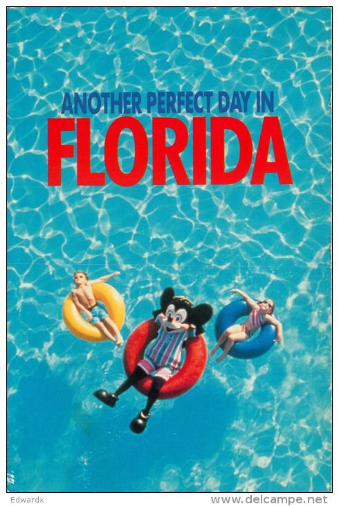 DisneyWorld, Florida, United States USA US Postcard Used Posted To UK 1995 Stamp - Disneyworld