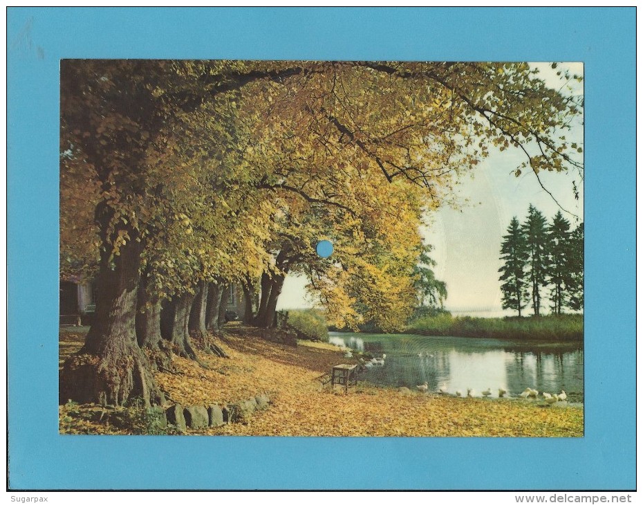 HOLSTEIN - Herbststimmung In Schleswig - BUONA SERA - Record Postcard - Big Format ( 210 X 150 ) - 2 SCANS - Playing Cards