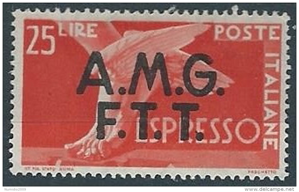 1947-48 TRIESTE A ESPRESSO DEMOCRATICA 25 LIRE MH * - ED259-3 - Express Mail