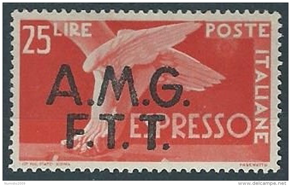 1947-48 TRIESTE A ESPRESSO DEMOCRATICA 25 LIRE MH * - ED259-5 - Express Mail