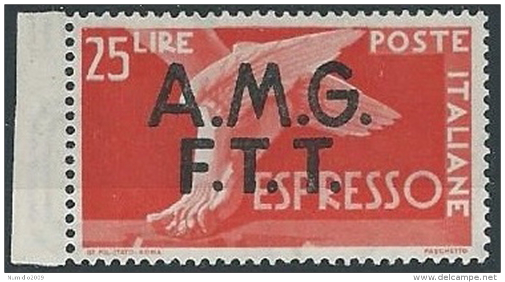 1947-48 TRIESTE A ESPRESSO DEMOCRATICA 25 LIRE MH * - ED260 - Express Mail