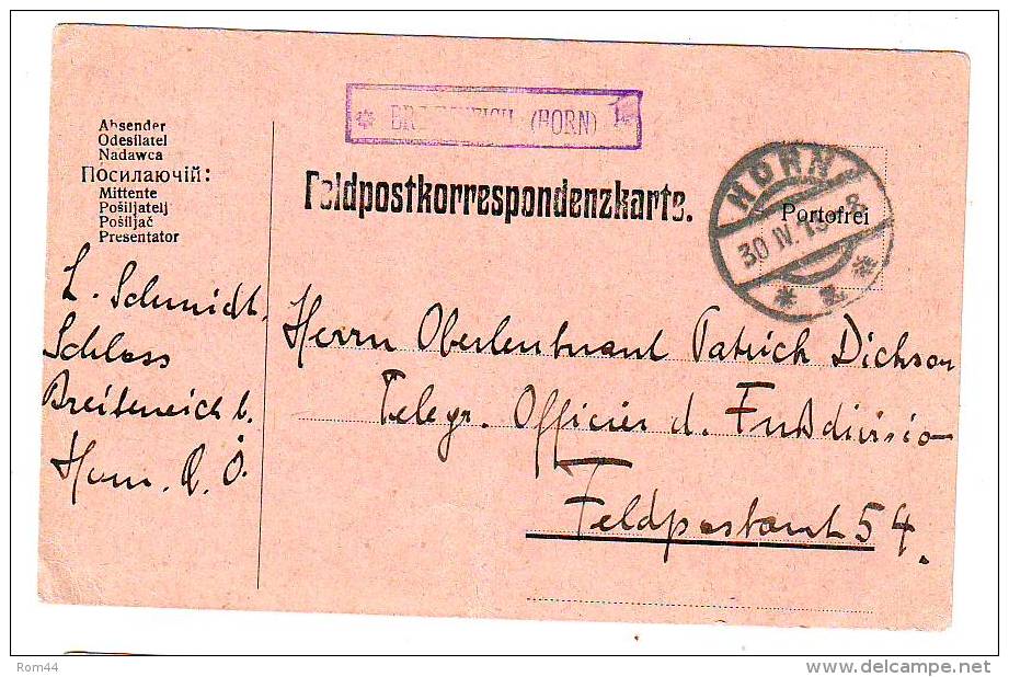 ALLEMAGNE EMPIRE  Carte De Correspondance 1915 Sans Affranchissement Cachet HORN - Lettres & Documents