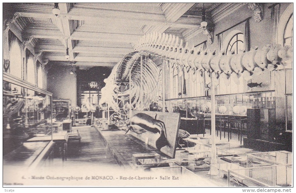 Monaco  .   Musée Océangraphique De Monaco  1912 - Oceanografisch Museum