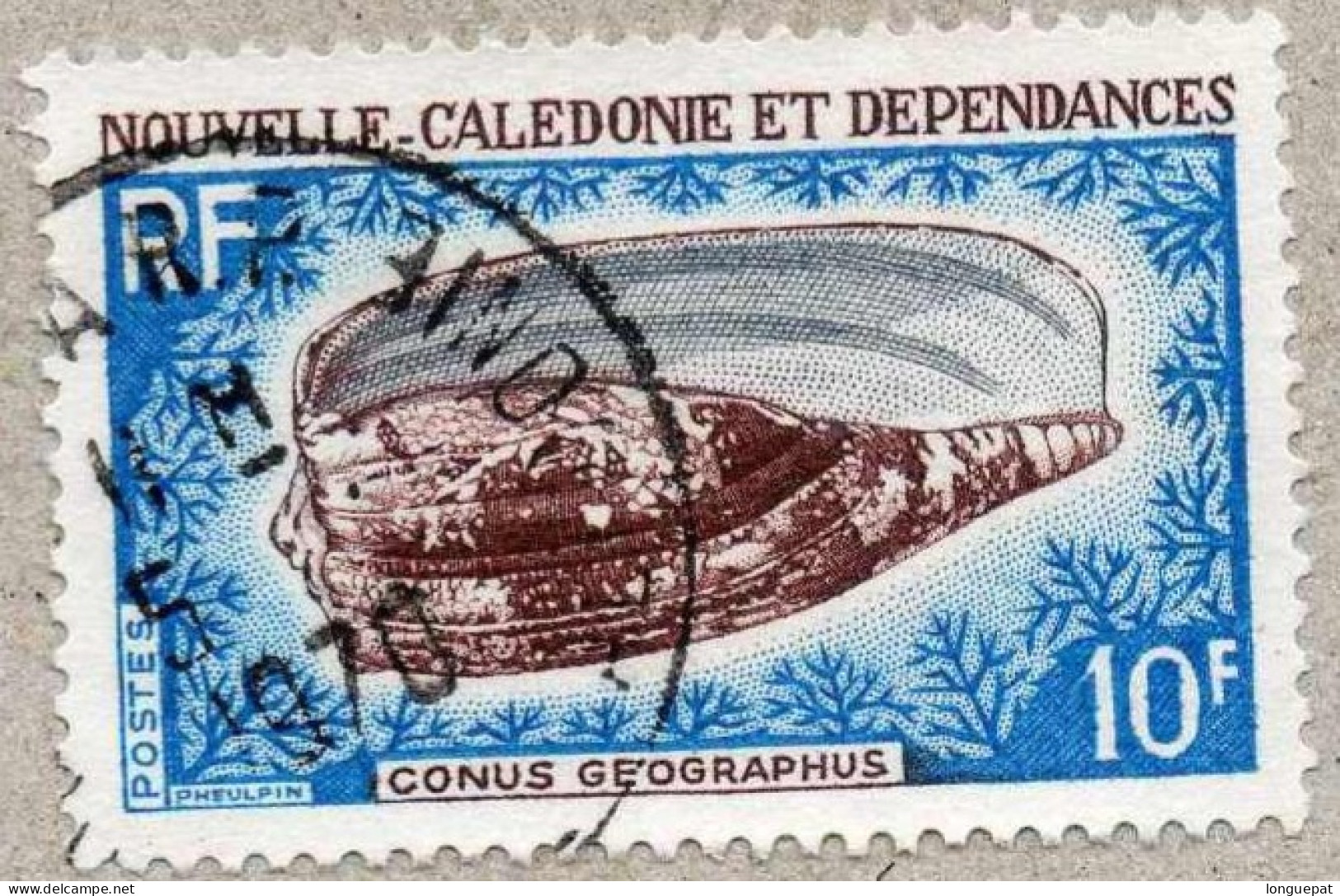 NOUVELLE-CALEDONIE : Coquillages : Conus Geographus (Cône Géographe Ou Cône Géographique)- Famille Des Conidae, - Used Stamps