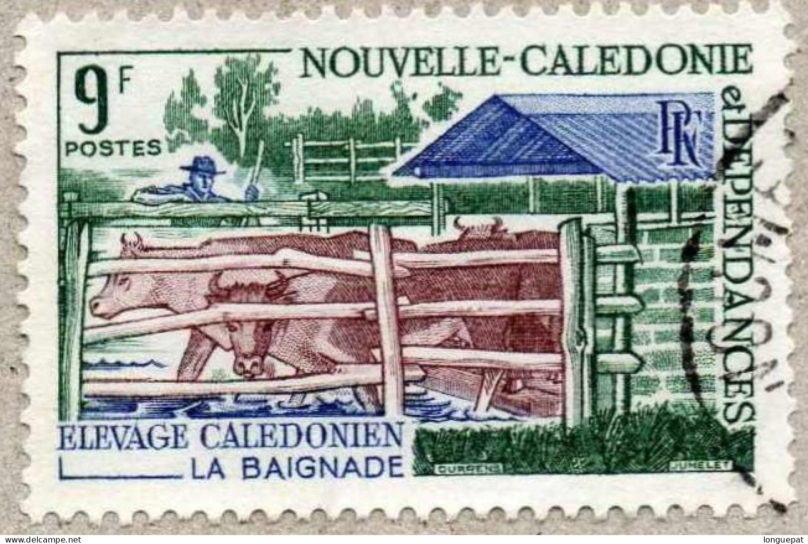 NOUVELLE-CALEDONIE : Elevage Calédonien : Baignade - Bovins - Agriculture - - Gebraucht