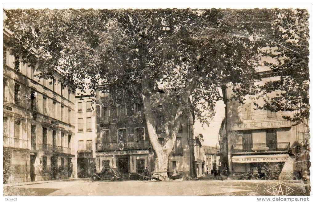 66 - Rivesaltes - Place De L'hôtel De Ville - Café De L' Avenir - - Rivesaltes