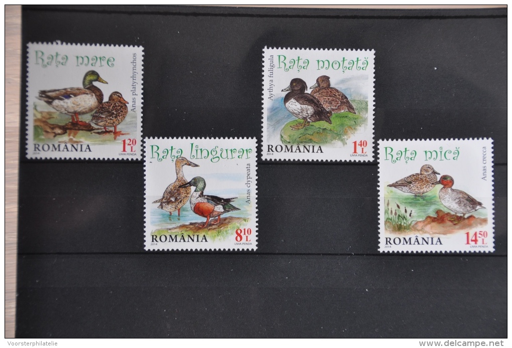 N 179 ++ ROMANIA 2014 BIRDS VOGELS OISEAUX DUCK EEND CANART POSTFRIS MNH NEUF ** - Neufs