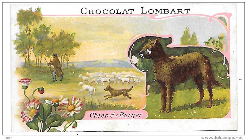 CHROMO  - CHOCOLAT LOMBART - Chien De Berger - Lombart