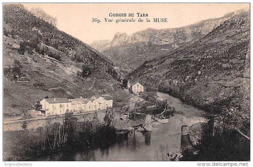 Lozère    48     La Muse - Gorges Du Tarn