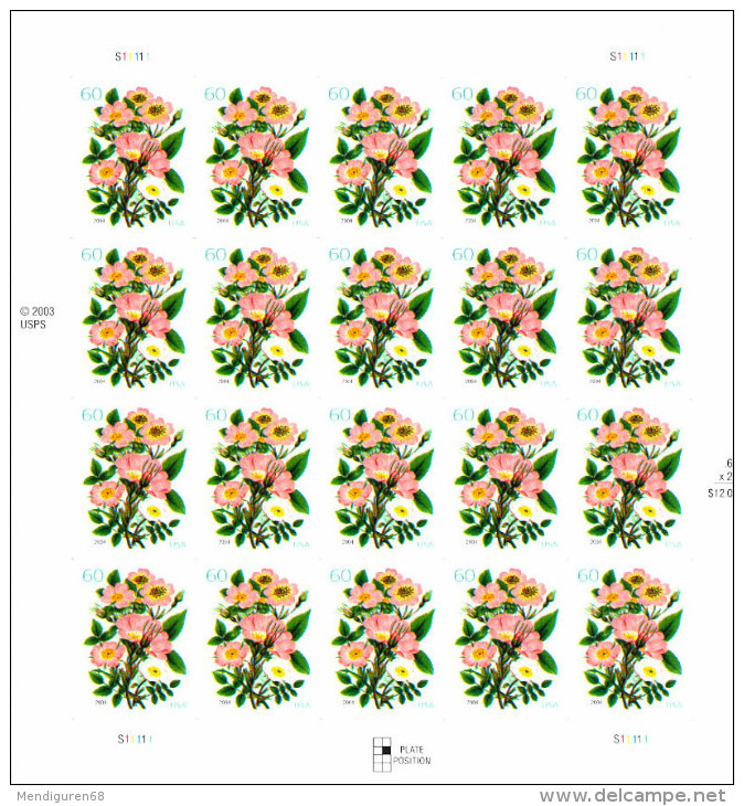 USA 2004 Flower Pink Roses  Pane Of 20 X  60c MNH SC 3837 YV 3544 MI 3814 SG 4345 - Hojas Completas