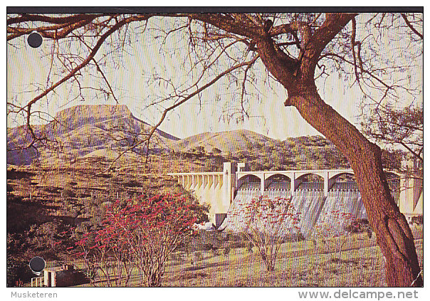 South Africa PPC Umgeni River Airmail Label CAPETOWN 1980 Card Karte SCHWANEWERDE Germany (2 Scans) - Luchtpost