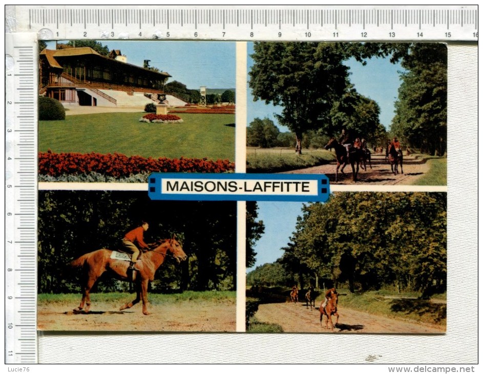 MAISONS LAFFITTE  -  Tribunes  Et   Chevaux    à L Entrainement  - 4 Vues - Maisons-Laffitte