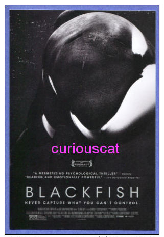 MOVIE FILM ADVERTISMENT POSTER POSTCARD For The FILM   BLACKFISH - Plakate Auf Karten