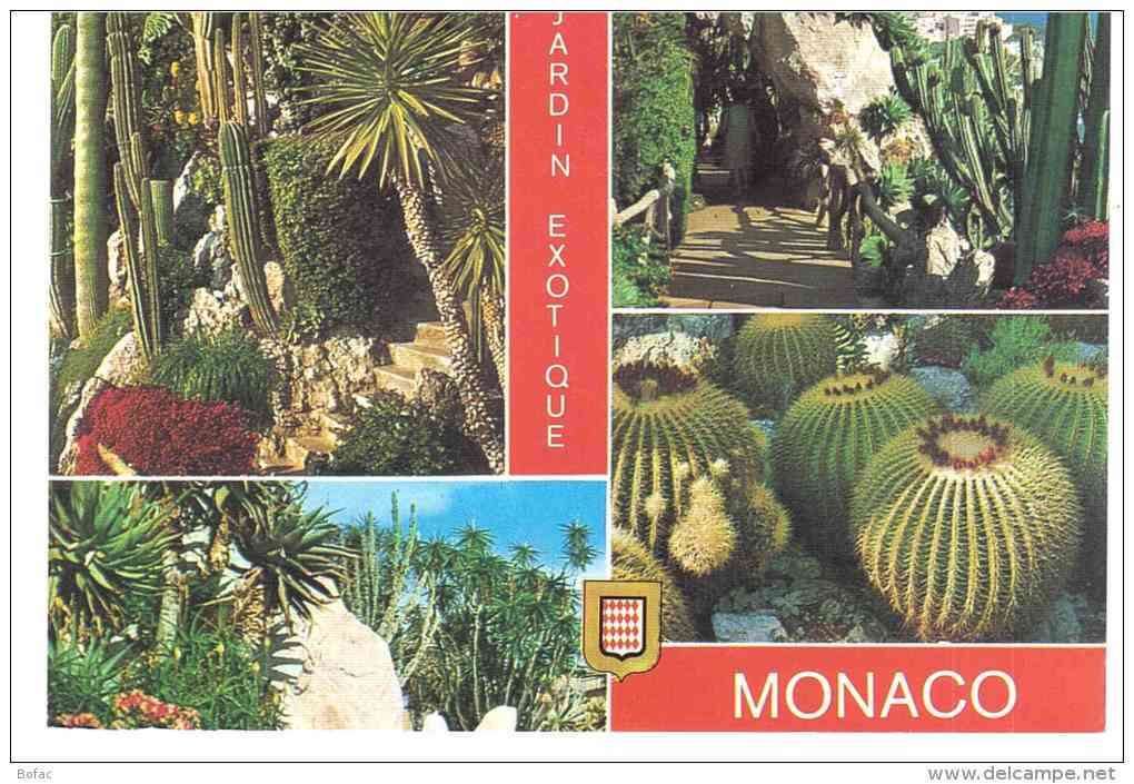 MONACO  ** Jardin Exotique  2983 - Exotische Tuin
