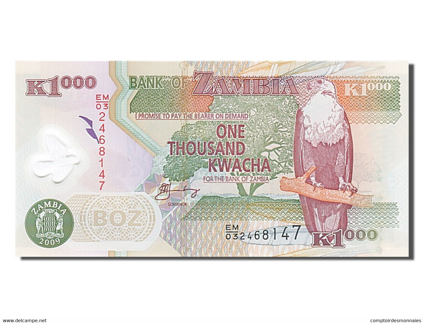 Billet, Zambie, 1000 Kwacha, 2009, NEUF - Zambie