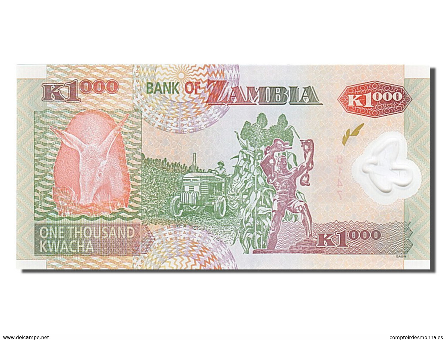 Billet, Zambie, 1000 Kwacha, 2009, NEUF - Zambie