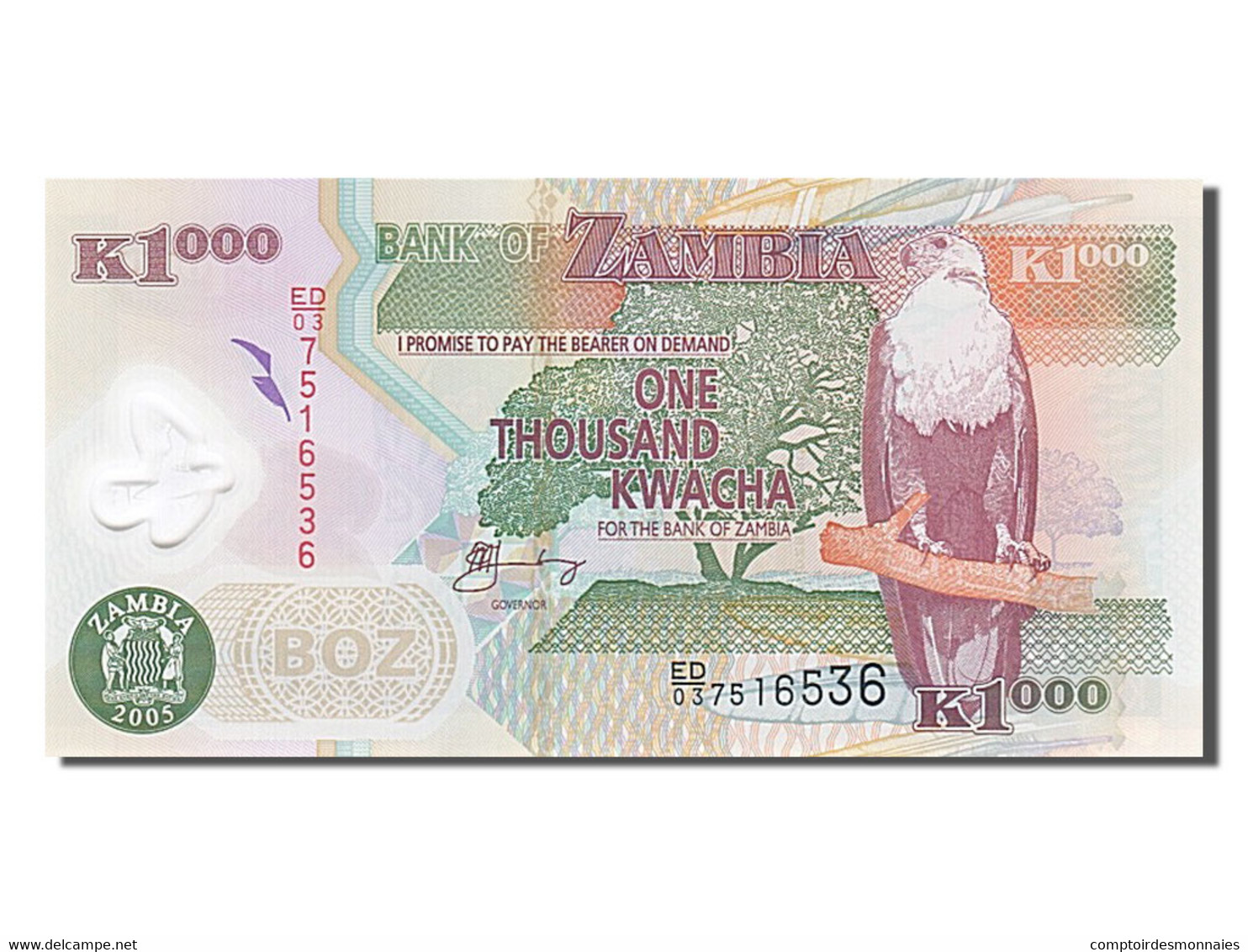 Billet, Zambie, 1000 Kwacha, 2005, NEUF - Zambie